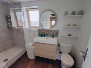 a bathroom with a toilet and a sink and a mirror at Amazing house 4 bedrooms parking close to Lille in Saint-André-lez-Lille +31 photos
