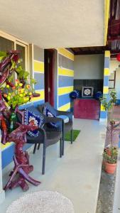 Gallery image of Hegde Farm Stay in Udupi