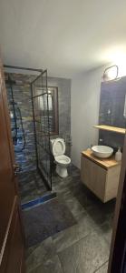 a bathroom with a shower and a toilet and a sink at Cabanele din padure in Eşelniţa