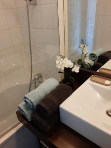 een badkamer met een wastafel en een bad met handdoeken bij Quartier des peintres - Poussin in Chaveignes +20 foto's