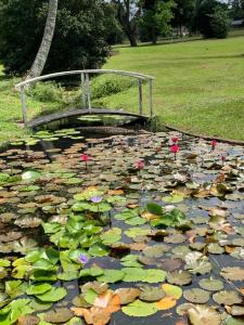 Fotografie z fotogalerie ubytování WaTa House in Felixton v destinaci Richards Bay