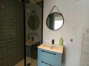 een badkamer met wastafel en douche met spiegel bij gîte du Cellier nantais in Le Cellier