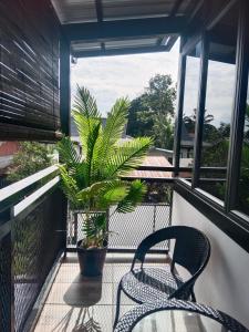 a balcony with two chairs and a potted plant at Homestay Daud in Bandar Permas