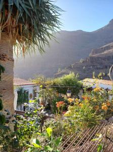 a garden with flowers and a view of a mountain at Gästehaus Casa Roca Fataga in Fátaga