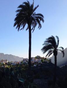 two palm trees on a hill with houses in the background at Gästehaus Casa Roca Fataga in Fátaga