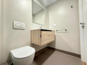a bathroom with a toilet and a sink and a mirror at PADRÓN PLAZA Lofts, Centro in Padrón