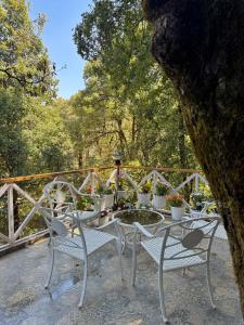 Vườn quanh Arcelia Cottage, Cozy Villa in Nainital