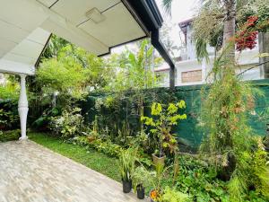 Zahrada ubytování Emerald Villa