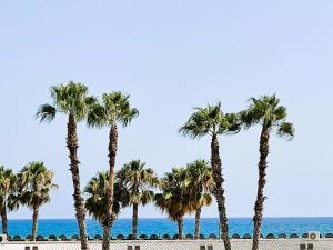 a row of palm trees on a beach with the ocean at Rose - Primera línea de mar, piscina, wifi, parquing in Cubelles