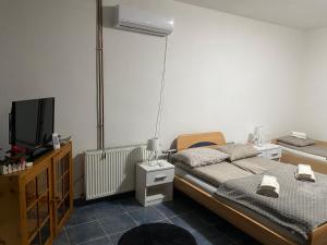 a bedroom with two twin beds and a television at Apartmani Alejna in Sanski most