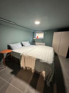 Postel nebo postele na pokoji v ubytování Apartment nähe Offenburg EuropaPark