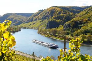 a boat traveling down a river in a valley at Hotel-Restaurant Peifer in Brodenbach