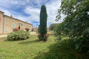 a tall tree in a yard next to a building at Magnificent flat in the heart of lavender fields - 6-7 people in Brunet