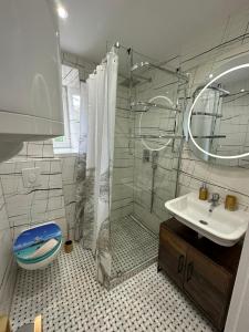 a bathroom with a shower and a sink at Mimis Apartments in Novalja +13 photos