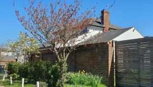 a house with a brick wall and a tree at Island Retreat with HotTub in West Mersea