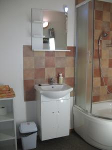 a bathroom with a sink and a shower and a toilet at Ubytování Pod Vápenkami in Skalica