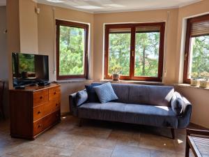 ジブヌベクにあるWilla Etnaのソファとテレビのあるリビングルーム