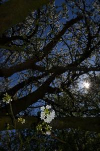 Fotografija u galeriji objekta Hoeve BôThé - B&B u gradu Alken