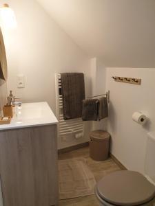 a bathroom with a white sink and a toilet at Maison de charme avec jardin au bord de l'Eure in Le Vaudreuil +17 photos