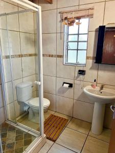 a bathroom with a toilet and a sink at Ingwenya View in Marloth Park