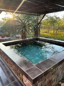 a large plunge pool in a patio with a palm tree at Ingwenya View in Marloth Park