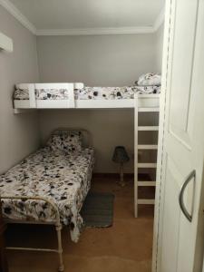 Un dormitorio con dos literas y una escalera. en Kingfisher House - St Lucia, en St Lucia