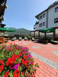 Splošen pogled na gorovje oz. razgled na gore, ki ga ponuja hotel