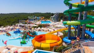 a large water park with a water slide at Vista OLIVO in Brtonigla