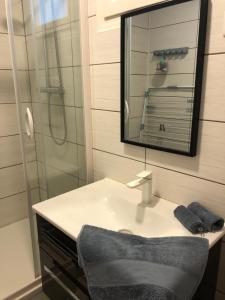 a bathroom with a sink and a mirror and a shower at Appart spacieux 2 chambres in Fort-Mahon-Plage