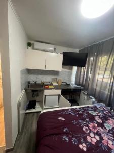 Kuchyň nebo kuchyňský kout v ubytování Studio apartman Utrine 2