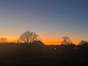 a sunset with trees in the foreground at Ferienwohnung Holtz 7 in Mesekenhagen