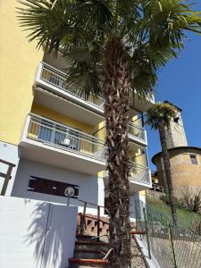 a building with a palm tree in front of it at Al Ponte in Cademario