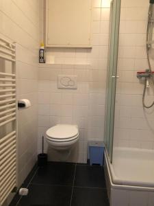 a bathroom with a toilet and a shower at Oostduinkerke Estacade ZEEDIJK in Oostduinkerke +16 photos