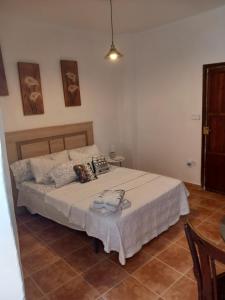 Postel nebo postele na pokoji v ubytování habitacion compartida con anfitrión
