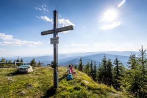 Príroda v okolí horskej chaty + 37 fotografií