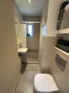 メンヒェングラートバッハにあるStilvolles Studio Apartment im Zentrum MGのトイレと洗面台のある小さなバスルーム