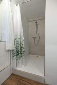 a bathroom with a shower with a plant in it at Hinterhaus in Herdwangen