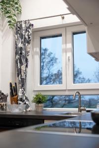 a kitchen with a sink and two windows at Hinterhaus in Herdwangen