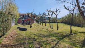 Ogród w obiekcie Apartamentos Dunamar