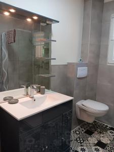 a bathroom with a sink and a toilet at La Flaviacoise s'agrandie in Flaviac +4 photos