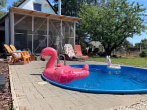 a inflatable pink flamingo in a pool in a backyard at Halacska Ház in Alsóörs