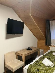 TV a/nebo společenská místnost v ubytování Hotel a vinařství Sádek