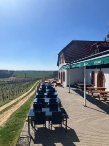 Fotografie z fotogalerie ubytování Hotel a vinařství Sádek v destinaci Kojetice