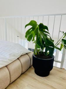 Katil atau katil-katil dalam bilik di Pálavské Apartmány Original