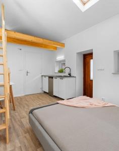 Kuchyň nebo kuchyňský kout v ubytování Apartmány Ústup