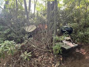 Treehouse Glamping in Boone, NC外面的花园