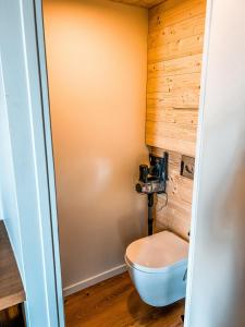 LasseubeChalet insolite - SPA - Vue Pyrénées - Brasero的一间带卫生间和木墙的浴室 更多18张照片