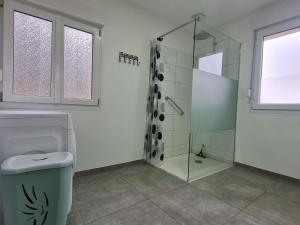 Mont-Saint-MartinにあるGîte du Hibouのバスルーム(ガラス張りのシャワー、トイレ付)
