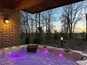 a jacuzzi tub in a backyard with purple lights at Wellnesslodge Kievit jacuzzi sauna and privacy in Dalerveen