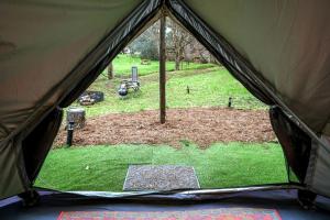 Zahrada ubytování Off-Grid Creekside Tent Ideal for a Glamping Experience in Cosby, Tennessee